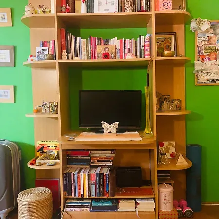 Funkcionalna Garsonjera U Zemunu