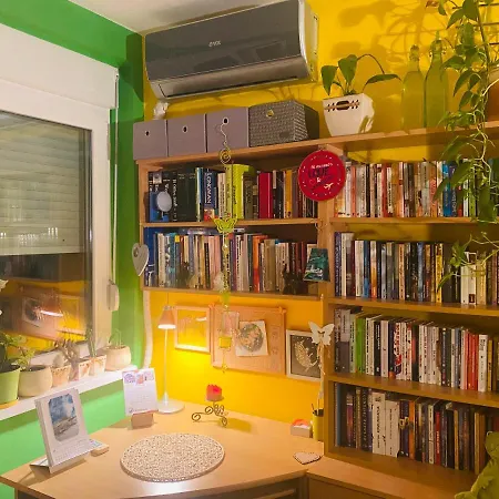 Funkcionalna Garsonjera U Zemunu