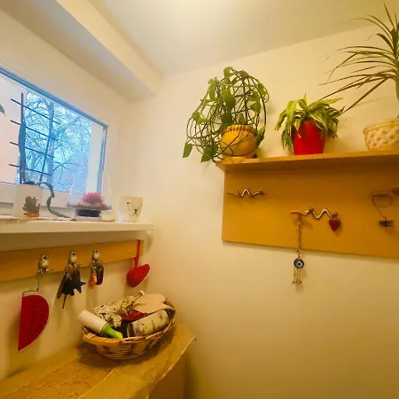 Apartman Funkcionalna Garsonjera U Zemunu Zemun